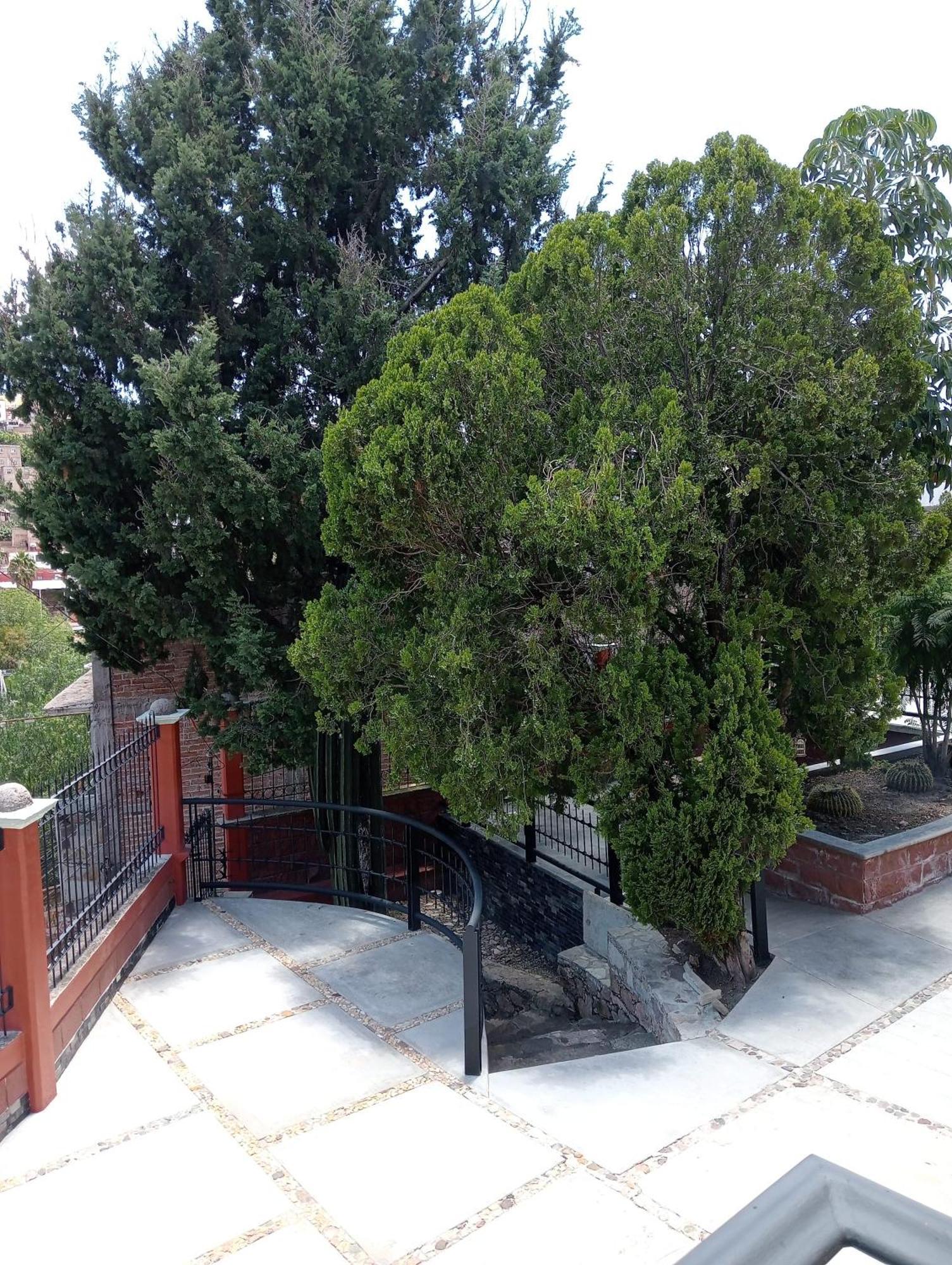 Quinta Mercedes Guanajuato Exterior photo