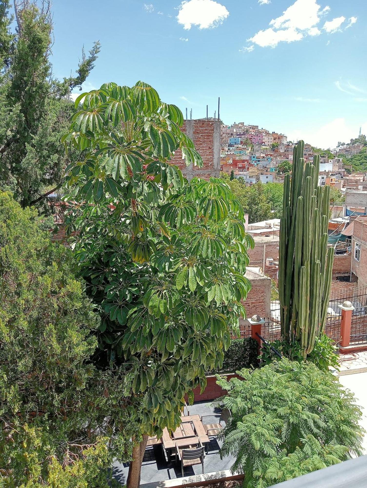 Quinta Mercedes Guanajuato Exterior photo